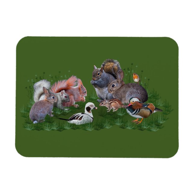 Ímã Flexi Magnet Para Animais Da Madeira (Horizontal)