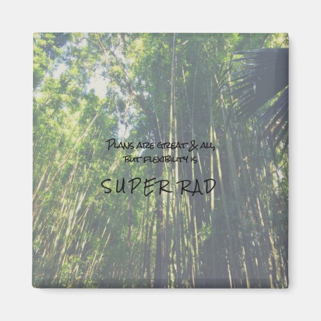 Imã Flexibilidade é um magneta de citação super rápida (Frente)