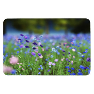 Ímã flexível azul do Cornflower