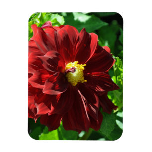 Ímã Flexível com Foto