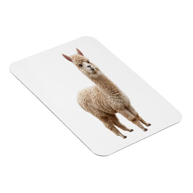Ímã Flexível com Foto Realista de Alpaca Fofa (Lado Direito)