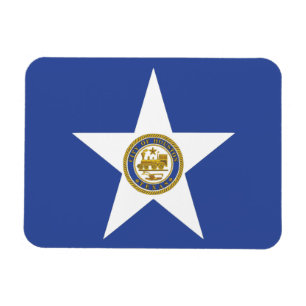 Ímã flexível da foto com a bandeira de Houston