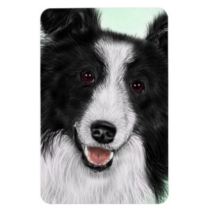 Ímã flexível de border collie