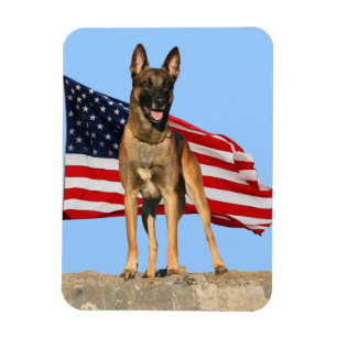 Ímã flexível de Malinois e de bandeira