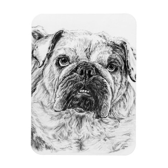 Ímã Flexível DIVA Lilybug (Vertical)