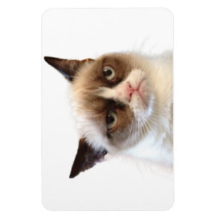 Ímã flexível do gato mal-humorado