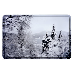 Ímã Flexível do Lago Nojiri