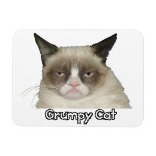 Ímã flexível mal-humorado do gato 3x4