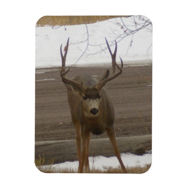 Ímã Flexível Young Buck (Vertical)