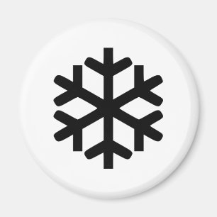 Imã Floco de neve