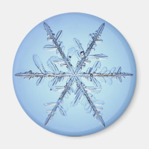 Imã floco de neve