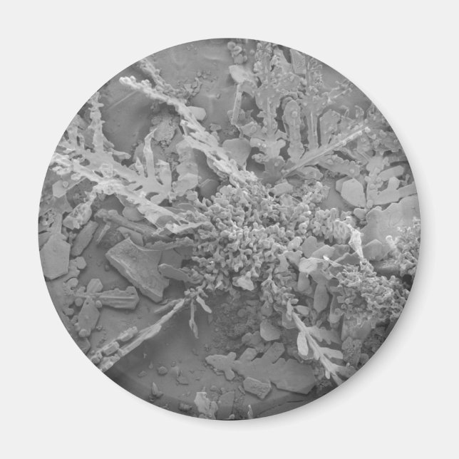 Imã Floco de neve 1 (Frente)