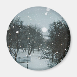 Imã Flocos de inverno
