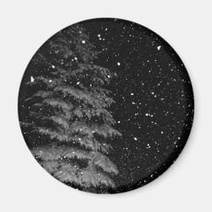 Imã flocos de neve à noite fotografia única