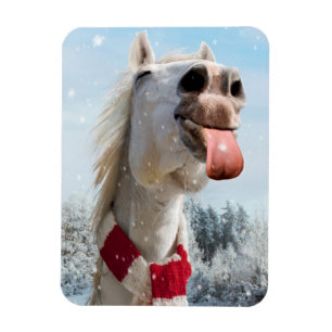 Ímã Flocos de neve com cavalos