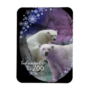 Ímã Flocos de neve do urso polar do jardim zoológico