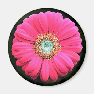 Imã Flor