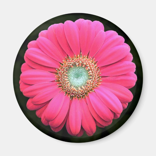 Imã Flor (Frente)