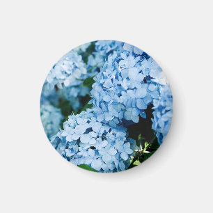 Imã Flor
