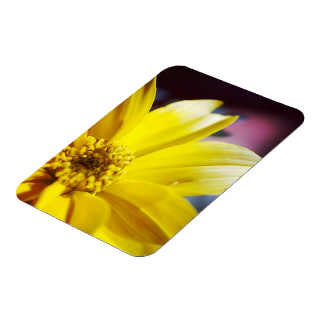 Ímã Flor Amarela (Left Side)