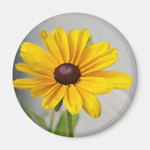 Imã Flor amarela dourada