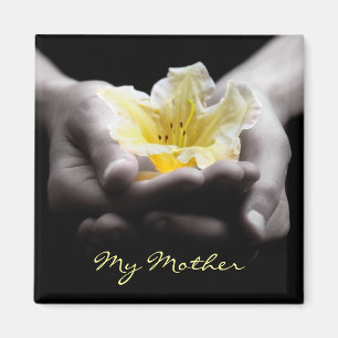 Imã Flor amarela nas mãos para a mãe