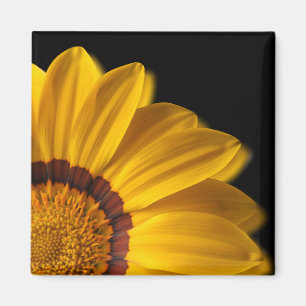 Imã Flor amarela sobre fundo preto