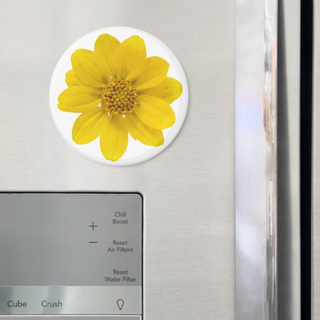 Imã Flor Amarelo (In Situ (Fridge))