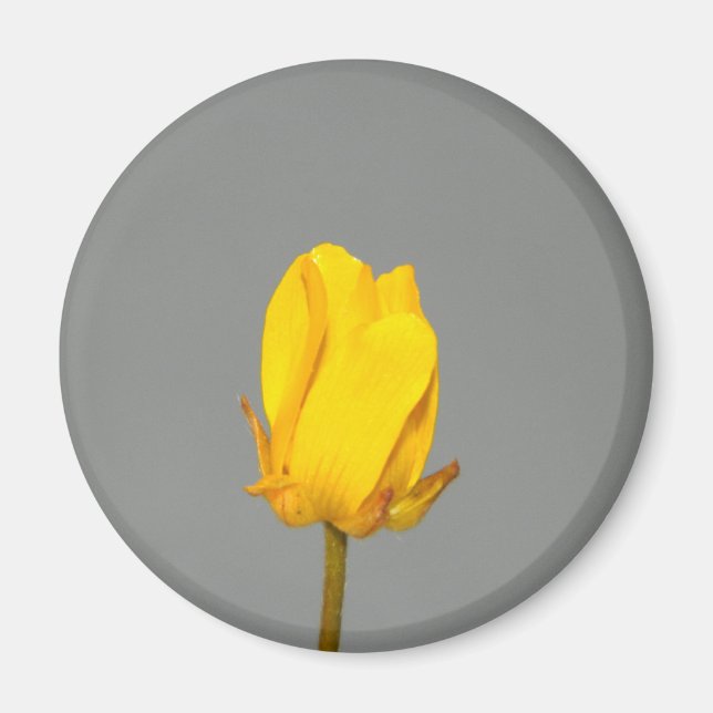 Imã Flor Amarelo (Frente)