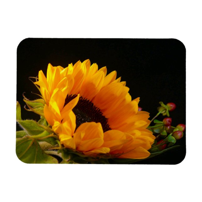 Ímã Flor Amarelo de Girassol (Horizontal)
