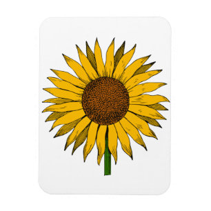 Ímã Flor Amarelo Sunflower