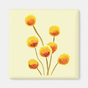 Imã Flor australiana indígena Billy Button Amarelo