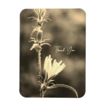 Flor Boho Romântica – Fantasia Botânica Obrigada