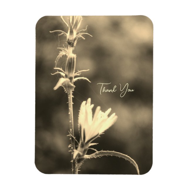 Ímã Flor Boho Romântica – Fantasia Botânica Obrigada (Vertical)