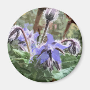 Imã Flor Borage Star azul num íman de cozinha