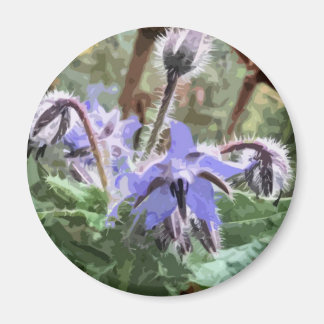 Imã Flor Borage Star azul num íman de cozinha