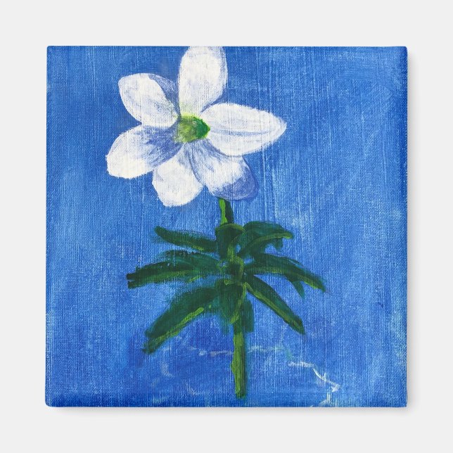 Imã flor branca em íman de pintura azul (Frente)