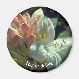 Imã Flor Branco Azalea Personalizado