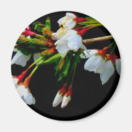 Imã Flor branco branco esbranquiçado florescente