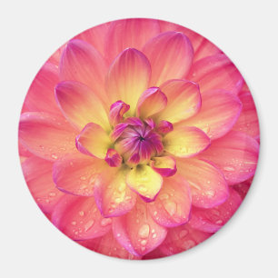 Imã Flor cor-de-rosa coral da dália