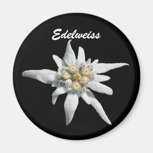 Imã Flor da flor de Edelweiss