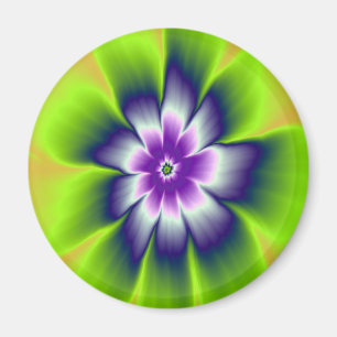 Imã Flor da margarida do verde azul e da violeta do