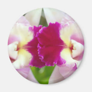 Imã Flor da orquídea