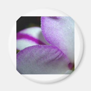 Imã Flor da orquídea
