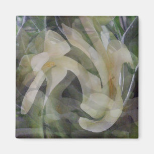 Imã Flor da papaia no abstrato