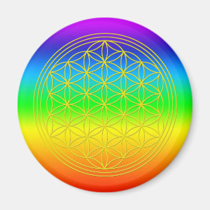 Imã Flor da vida chakra 2