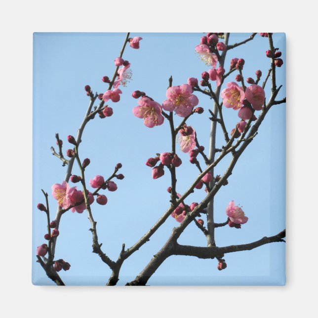 Imã Flor de ameixa: Japão (Frente)