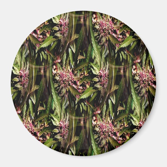 Imã Flor de Ape de Uva..... (Frente)