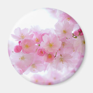 Imã Flor de árvore de cereja japonesa
