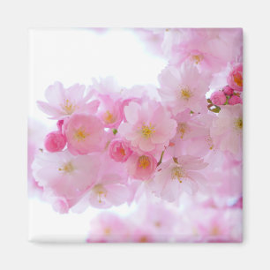 Imã Flor de árvore de cereja japonesa